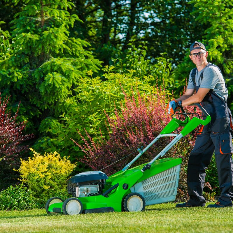 Landscaping services in Edmonton