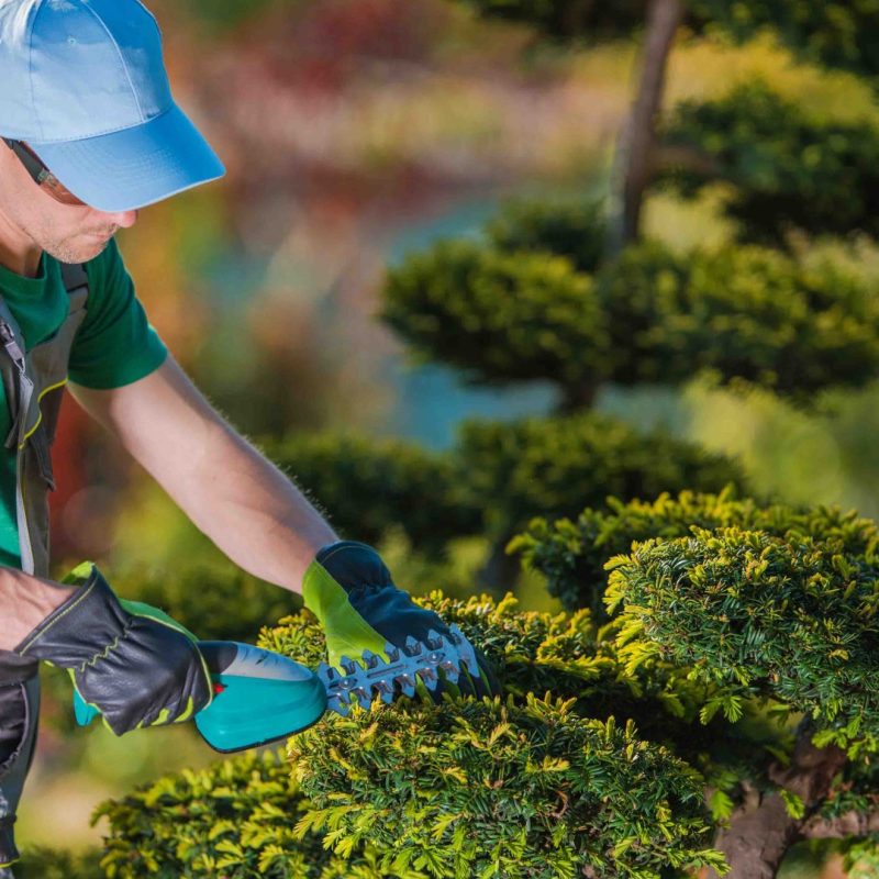 Landscaping Company in Fort Saskatchewan